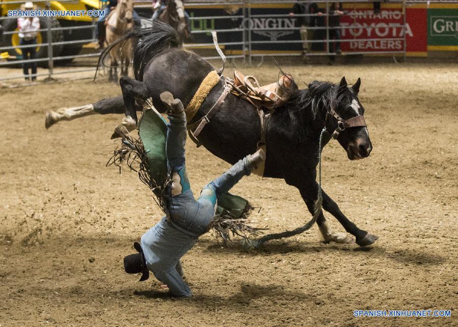 Competición Real de Caballo 2015 en Toronto, Canadá