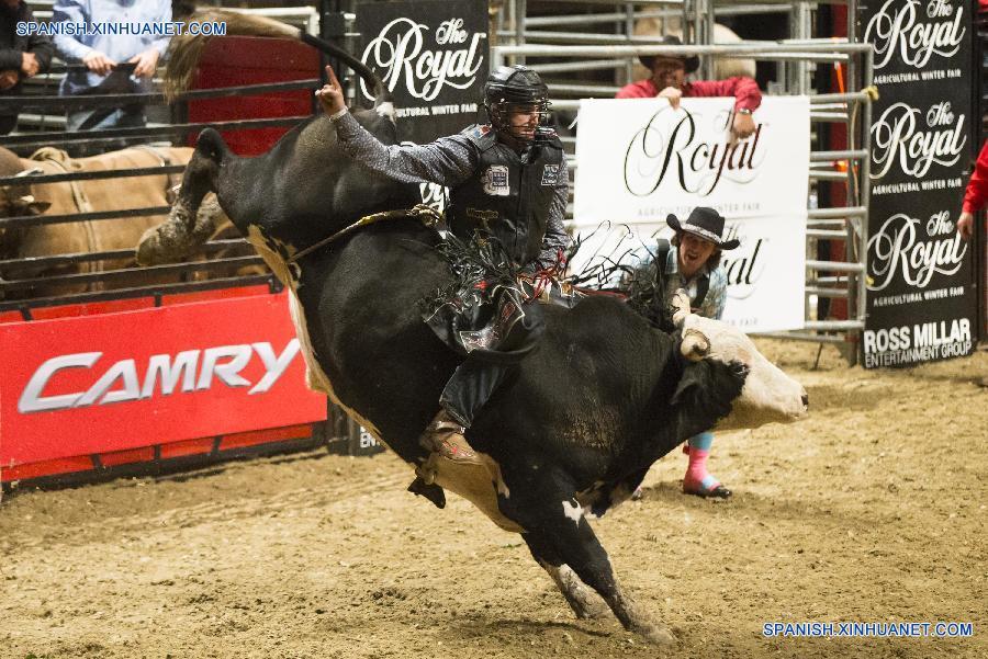 Competición Real de Caballo 2015 en Toronto, Canadá