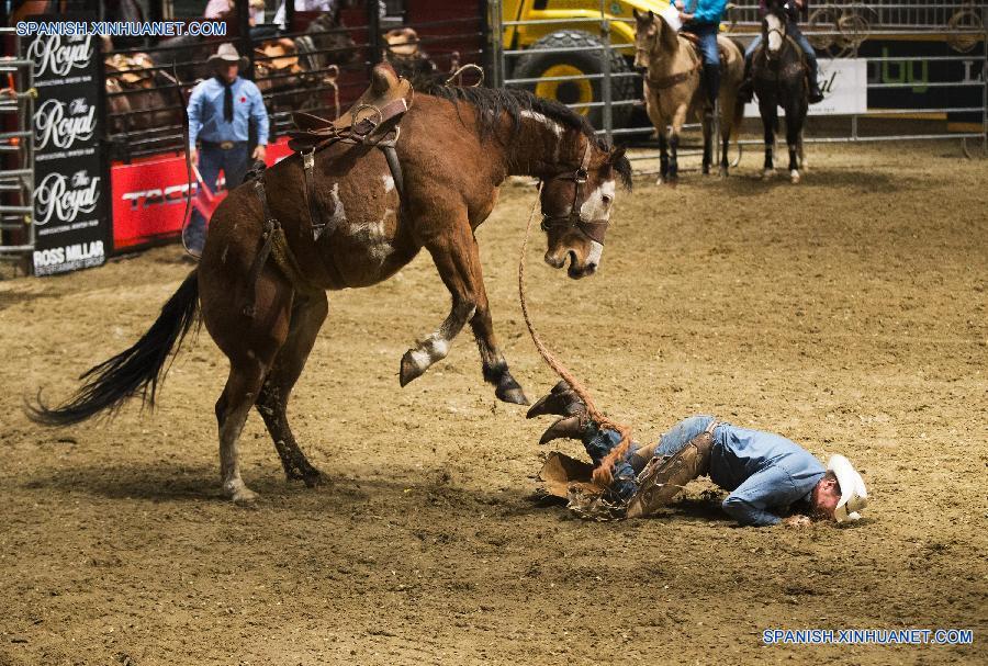 Competición Real de Caballo 2015 en Toronto, Canadá