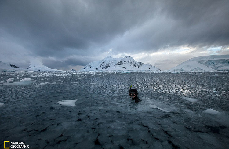 Obras maravillosas del Concurso de la Fotografía de National Geographic 2015