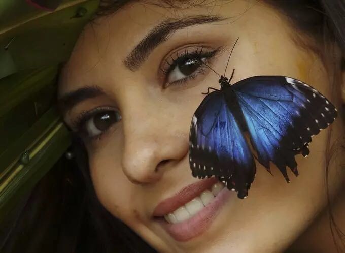 El florido sombrero que atrae a las exóticas mariposas del jardín Wisley