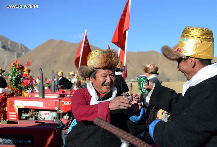 Agricultores celebran arado tradicional de primavera en el Tíbet