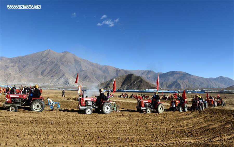 Agricultores celebran arado tradicional de primavera en el Tíbet