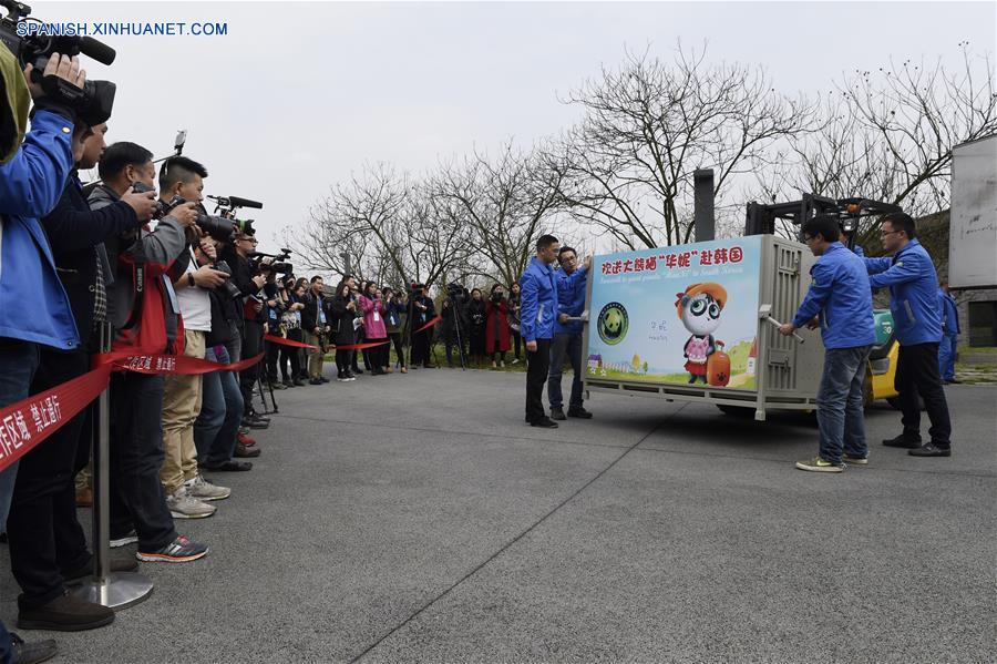 Pareja de pandas chinos, listos para nueva vida en República de Corea