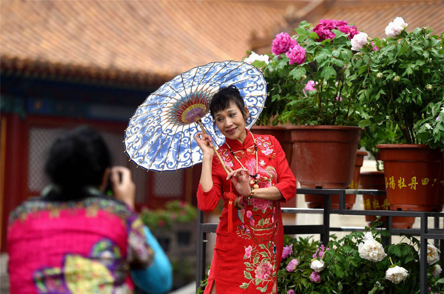 Una mujer posa delante de las flores de peonia en el Museo de Palacio en Beijing, el 12 de abril de 2016.