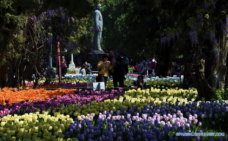 Flores en el Parque de Beijing