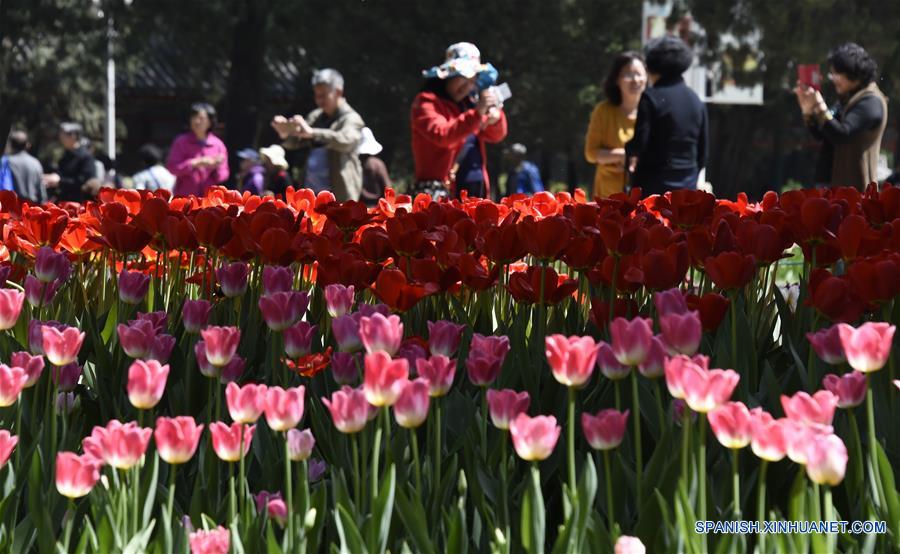 Flores en el Parque de Beijing