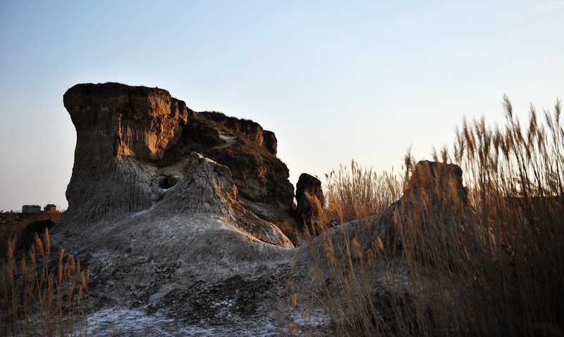 Maravilloso paisaje del bosque de la tierra en Datong