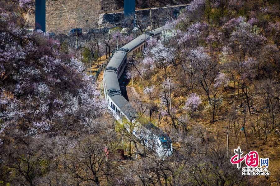 Estación centenaria sobrevive a la evolución del tren