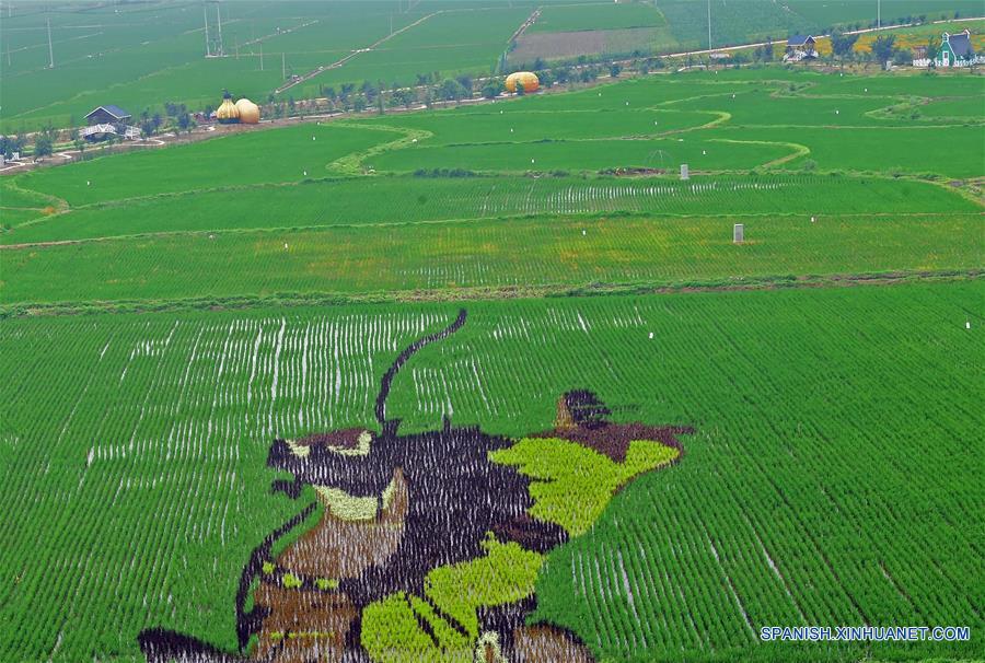 Dibujos animados en un parque industrial agrícola de China