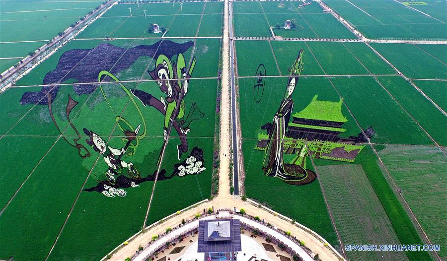 Dibujos animados en un parque industrial agrícola de China