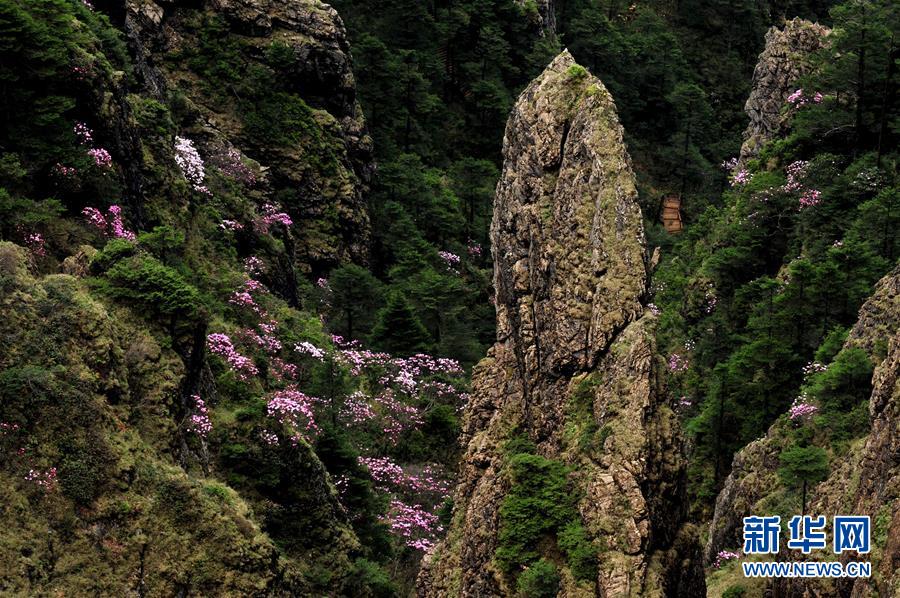 Shennongjia, de la provincia china de Hubei, declarado Patrimonio de la Humanidad