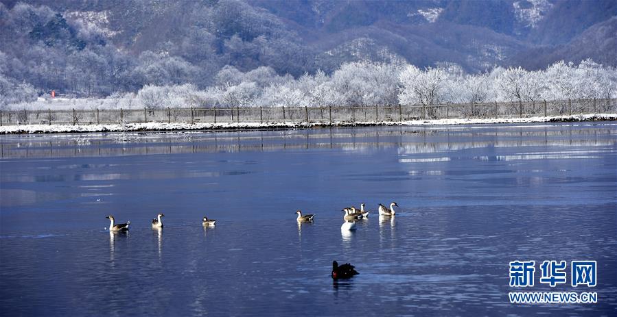 Shennongjia, de la provincia china de Hubei, declarado Patrimonio de la Humanidad