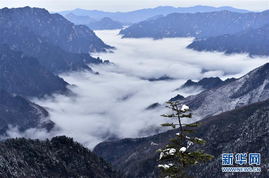 Shennongjia, de la provincia china de Hubei, declarado Patrimonio de la Humanidad