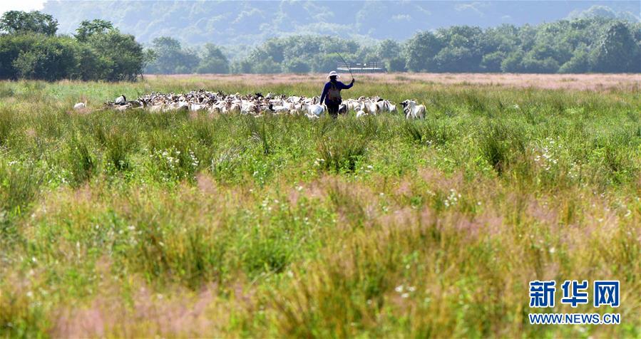 Shennongjia, de la provincia china de Hubei, declarado Patrimonio de la Humanidad