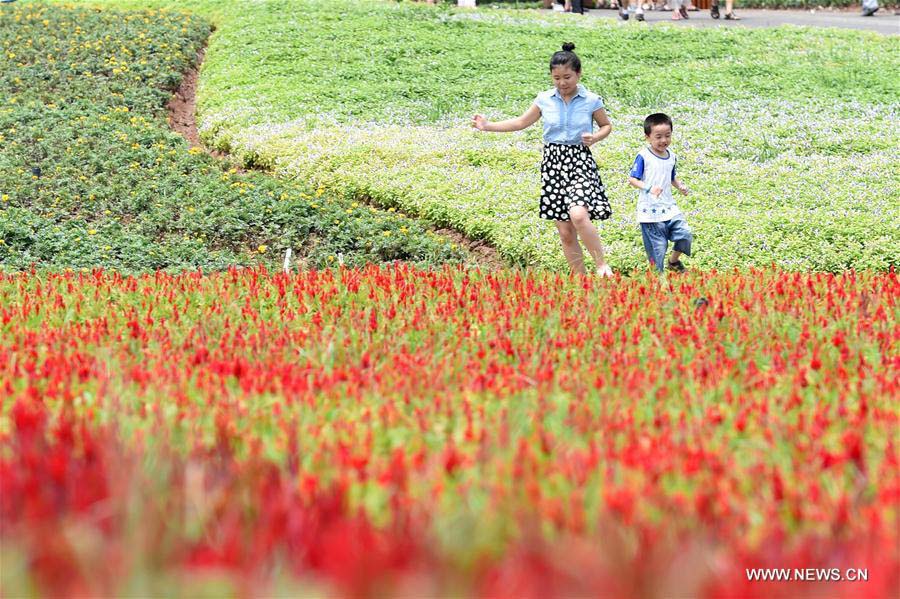 La gente disfruta de las flores en el Valle Qijianghengshan