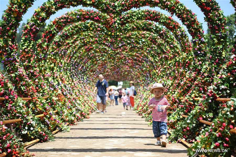 La gente disfruta de las flores en el Valle Qijianghengshan