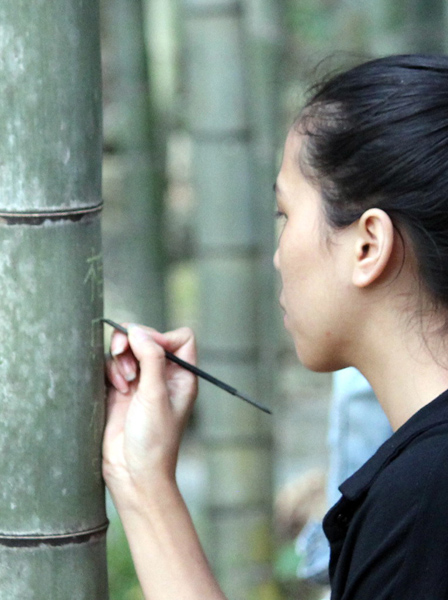 ?Es buena idea habilitar una zona para grafiti en un bosque de bambús?