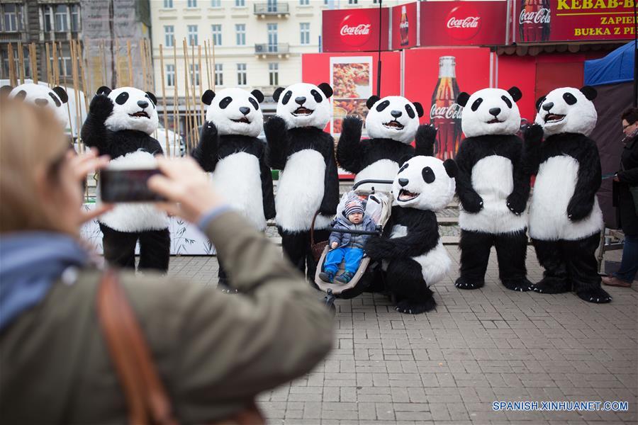 Ciudad china inicia campa?a promocional sobre pandas gigantes en Polonia