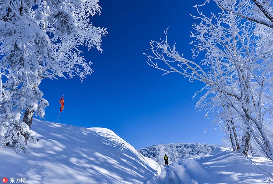 La nieve convierte pueblo de Heilongjiang en un cuento de hadas