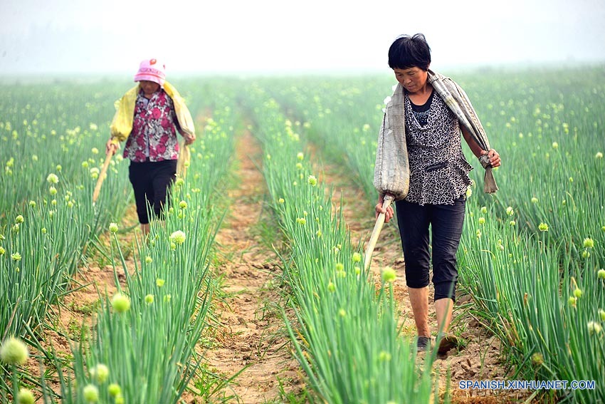 La UNESCO declara los 24 términos solares de China Patrimonio Cultural Inmaterial de la Humanidad