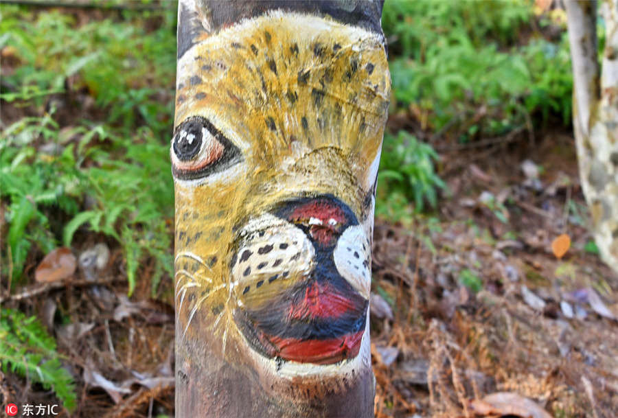 Un leopardo pintado en un árbol en el condado de Shangyou, provincia de Jiangxi. [Foto / VCG]