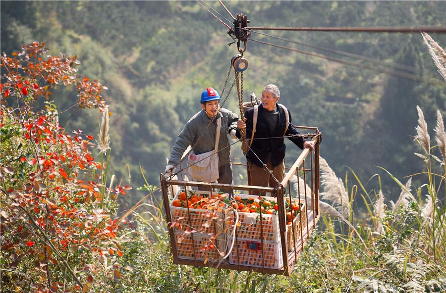 Naranjas transportadas en el teleférico. [Foto de Liu Shusong / para chinadaily.com.cn]