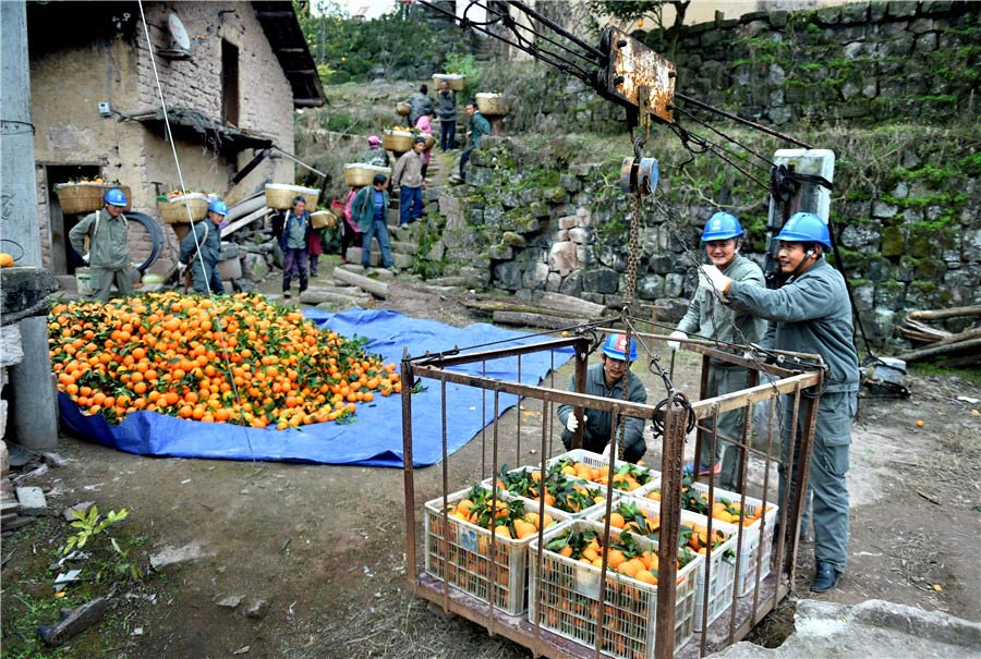 El personal de una compa?ía eléctrica local ayuda a los aldeanos a llevar las naranjas al teleférico. [Foto de Liu Shusong / para chinadaily.com.cn]