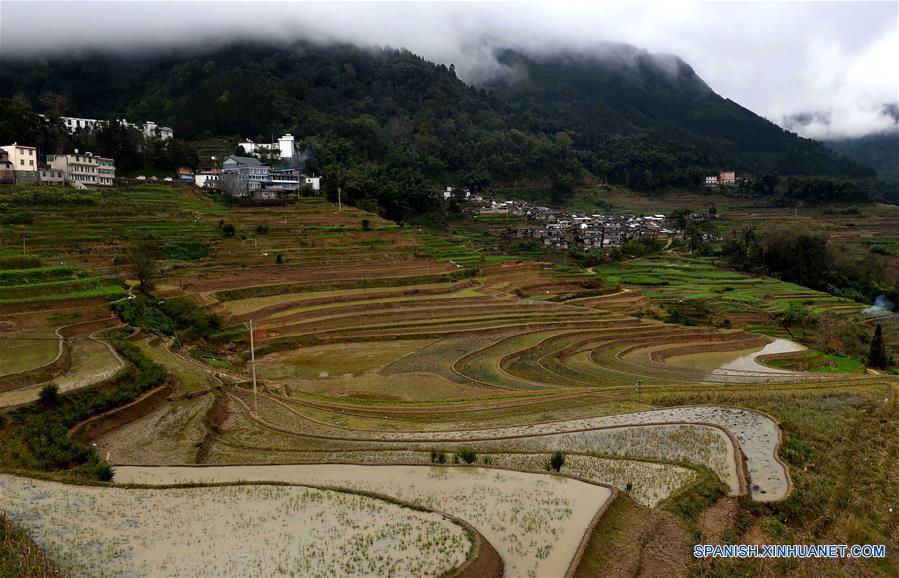 Paisaje del distrito de Mojiang.