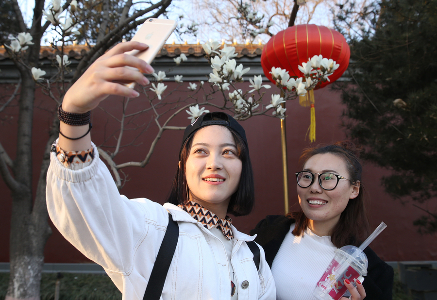 Las magnolias anuncian la primavera desde la histórica avenida Changan de Beijing