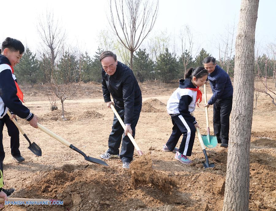 Presidente chino subraya importancia de reforestación y pide proteger a la naturaleza