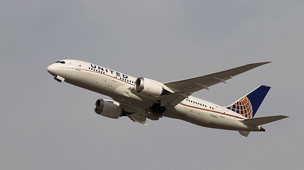 Un escorpión venenoso pica a un pasajero en un vuelo de United Airlines