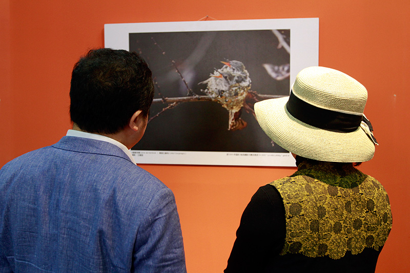 El libro "Aves silvestres del Ecuador", del fotógrafo Wang Jianguo, presenta a los lectores chinos la gran biodiversidad aviar del fascinante país latinoamericano. (Foto: YAC)