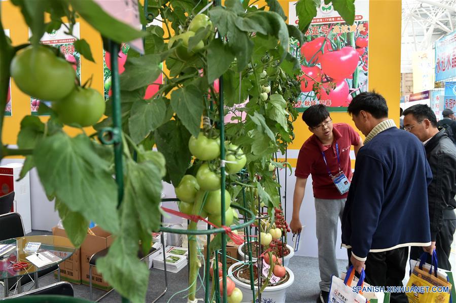 Feria Internacional de Ciencia y Tecnología de Shouguang