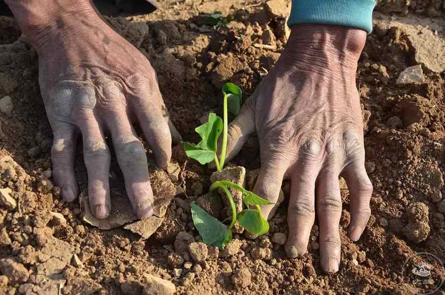 Un hombre discapacitado cuida de su familia por más de 40 a?os