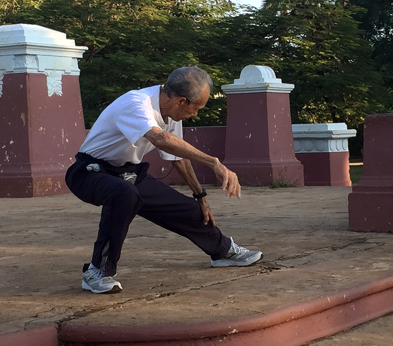 El Taijiquan armoniza en un parque de La Habana