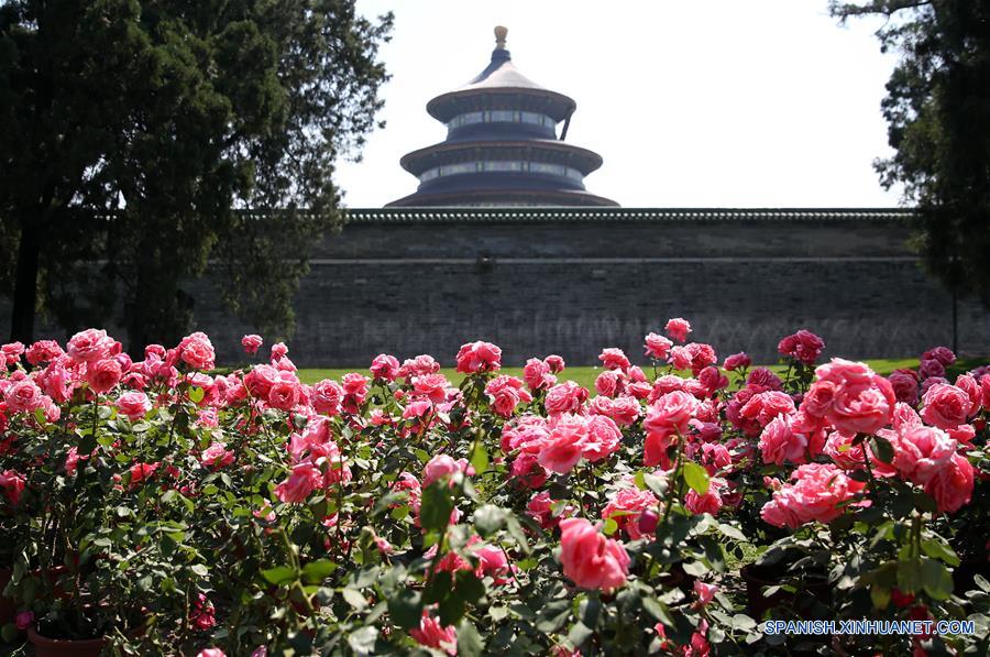 El Templo del Cielo en Beijing