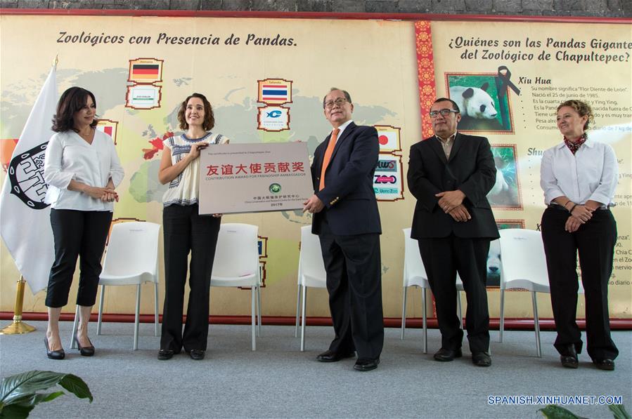 El embajador de China en México, Qiu Xiaoqi (c), entrega el reconocimiento a la secretaria del Medio Ambiente de la Ciudad de México, Tanya Müller García (2-i), por el excelente manejo de los pandas gigantes en la Ciudad de México, durante el "Homenaje a los Pandas de la Ciudad de México" a 42 a?os de la llegada de los pandas a México, llevado a cabo en el Zoológico de Chapultepec, en la Ciudad de México, capital de México, el 3 de junio de 2017. El Zoológico del Bosque de Chapultepec de la Ciudad de México recibió el sábado un reconocimiento especial, de parte de China, por las acciones de conservación y cuidado de los osos panda. Estas acciones se iniciaron desde hace 42 a?os, cuando llegó del país asiático una pareja de pandas conocidos como "Pe Pe" y "Ying Ying", que han sido la pareja más prolífica a nivel mundial, ya que concibieron en cautiverio y en la Ciudad de México siete crías adultas (tres machos y cuatro hembras). El evento fue organizado como parte de las actividades culturales internacionales desarrolladas por la embajada de China, el Centro Cultural de China en México y el Instituto Nacional de Bellas Artes de México, que este a?o tienen como tema central a las pandas gigantes del Zoológico de Chapultepec. (Xinhua/Francisco Ca?edo)