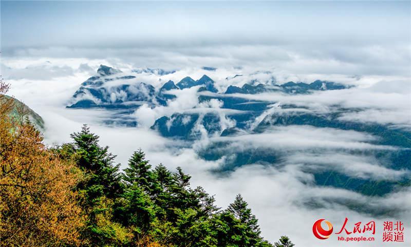 Reserva Natural de Shennongjia, un ejemplo del desarrollo equilibrado del turismo