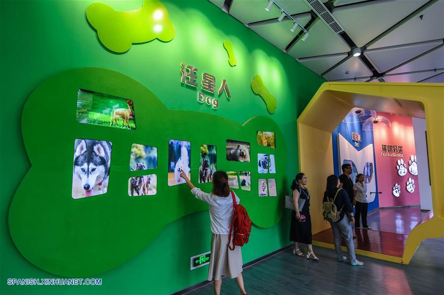 ZHEJIANG, junio 21, 2017 (Xinhua) -- Turistas visitan la "sala de estar de la ciudad mascota", un lugar para presentar la cultura, los conocimientos y los productos relacionados con las mascotas, en el condado de Pingyang de Wenzhou, provincia de Zhejiang, en el este de China, el 21 de junio de 2017. La ciudad mascota de Pingyang es una base multifuncional de la industria de suministro y turismo para mascotas. El condado usado para ser una capital de la industia del cuero y ahora convertido en una capital de la industria de las mascotas después de la modernización industrial. La producción de la industria de las mascotas del condado alcanzó los 3,000 millones de yuanes (aproximadamente 440 millones de dólares estadounidenses) en 2016, incrementándose 15.8 por ciento a?o con a?o. (Xinhua/Xu Yu)