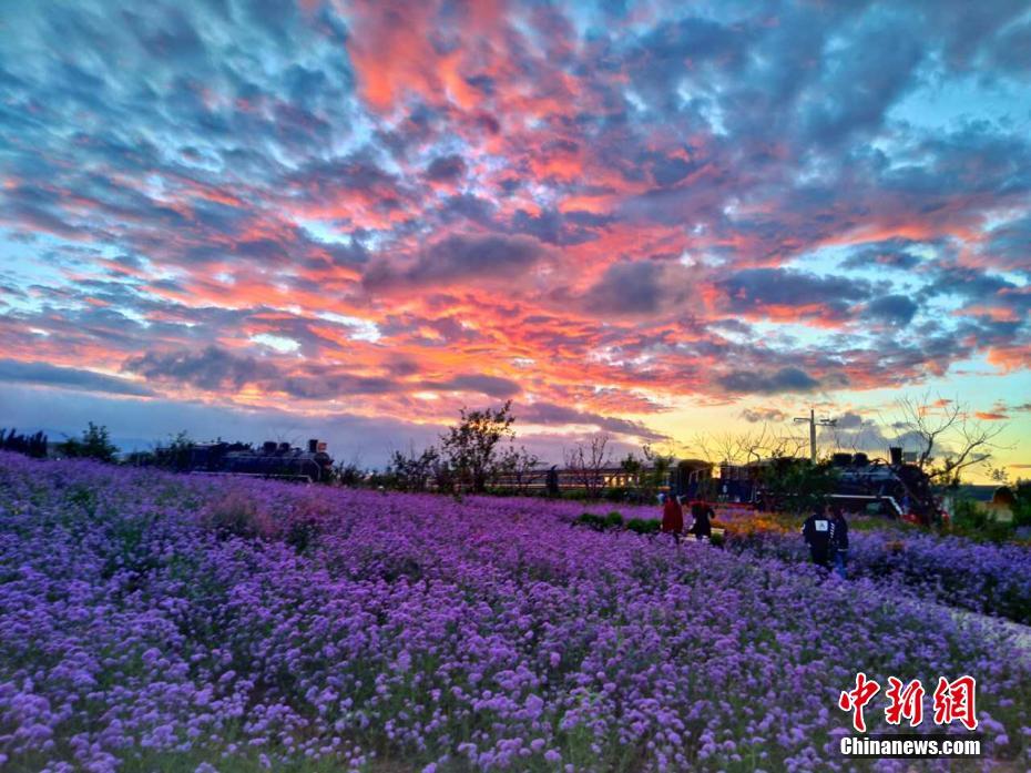 Experiencia visual espectacular en Zijinyuan