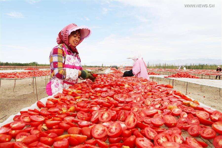 Secaderos de tomates en Xinjiang