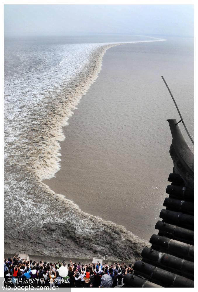 10.000 turistas acuden a Haining paraver la mareadel río Qiantang