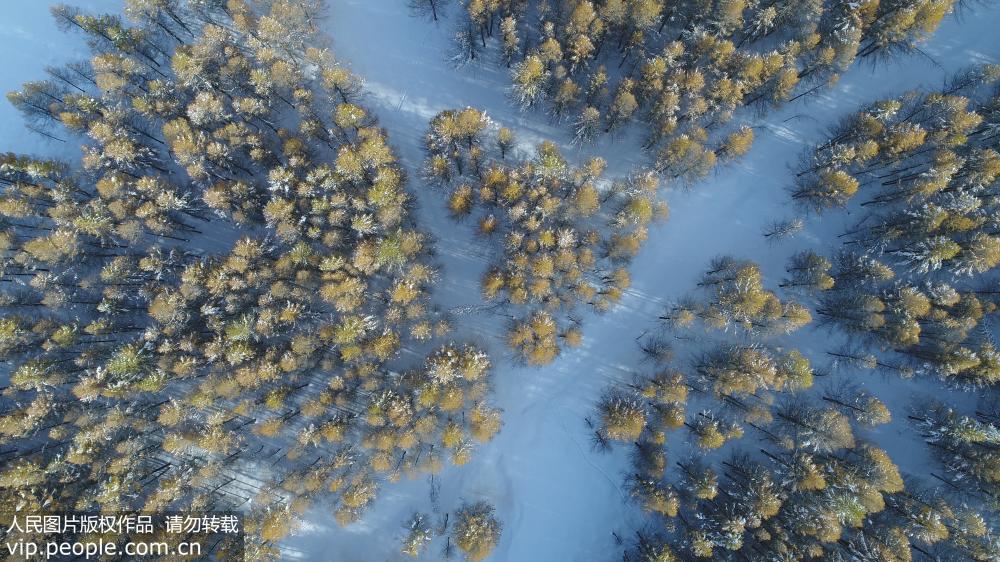 Impresionante paisaje nevado de "encendidas llamaradas" en Xinjiang