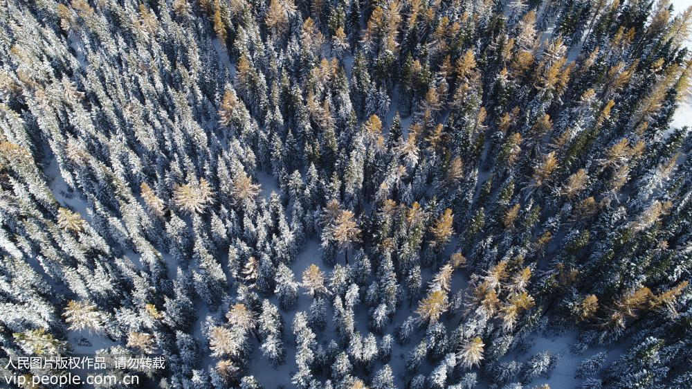 Impresionante paisaje nevado de "encendidas llamaradas" en Xinjiang