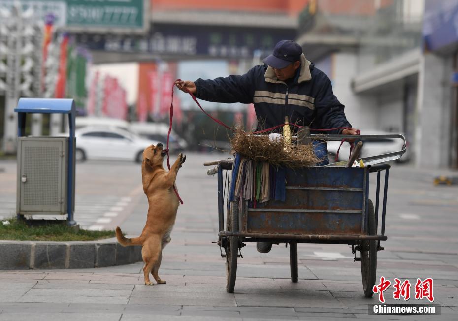 Un perro ayuda a su due?o a recoger basura en Changchun