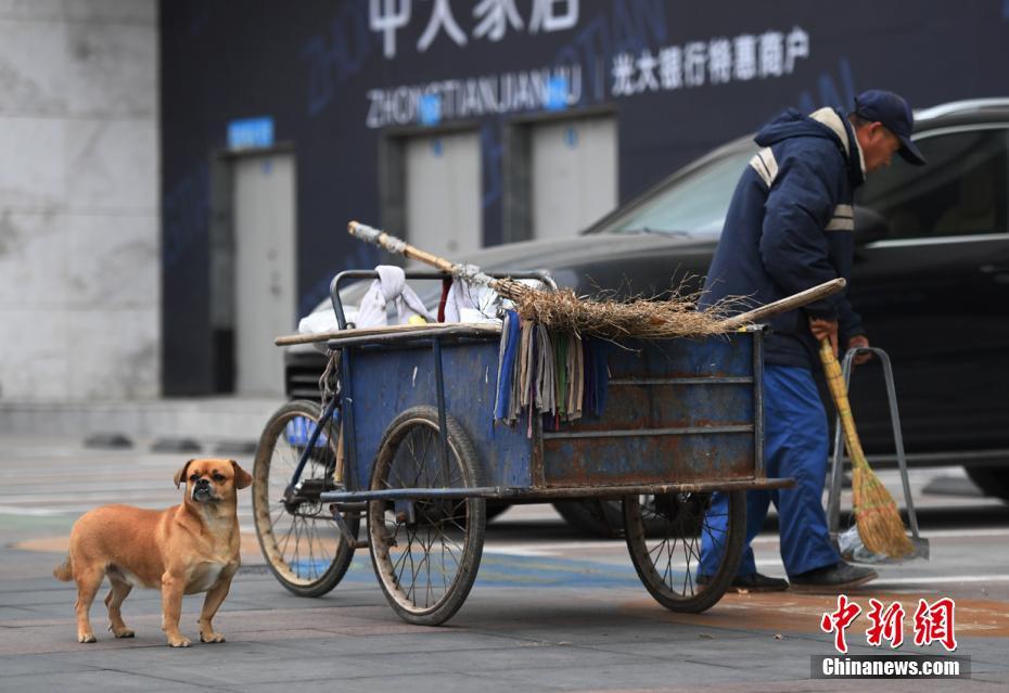 Un perro ayuda a su due?o a recoger basura en Changchun