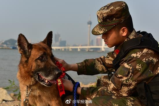 Fuerzas del orden organizan funeral para un perro policía en Guangdong