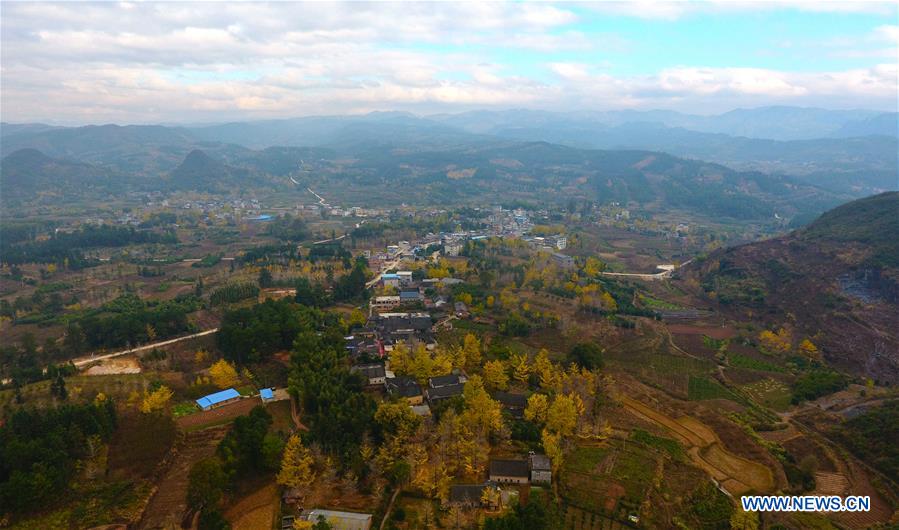 Los árboles ginkgo de Guilin encantan el paisaje