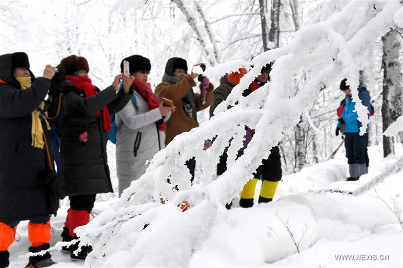 Beijing,10/01/2018(El Pueblo en Línea)- Turistas toman fotos de árboles cubiertos de escarcha en el sitio turístico Bailanggang, en Arxan, Región Autónoma de Mongolia Interior, China, 9 de enero del 2018. [Foto: Xinhua]